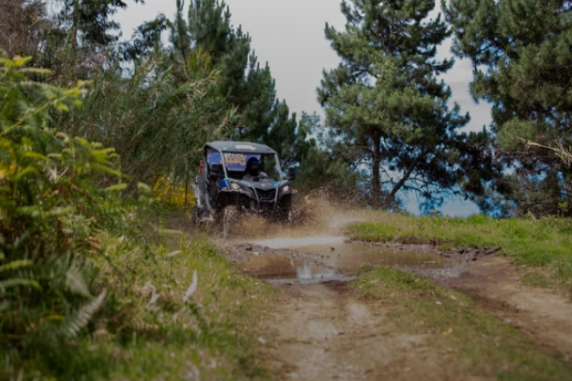 Let's Buggy Madeira