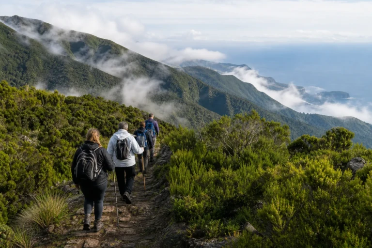 Caminhada pelas montanhas e natureza da Madeira